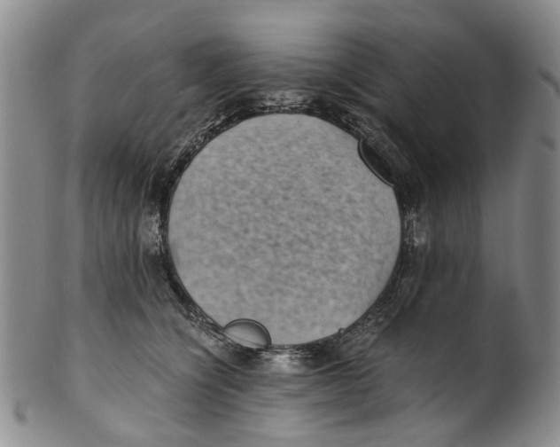 X0000100420564200806271509