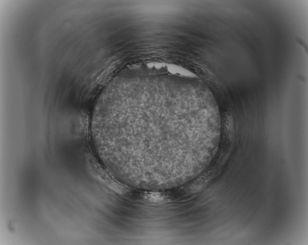 X0000100420565200806271509