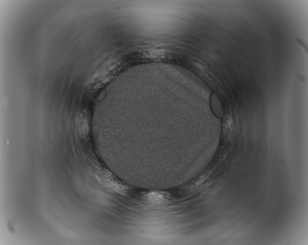 X0000100420566200806271509