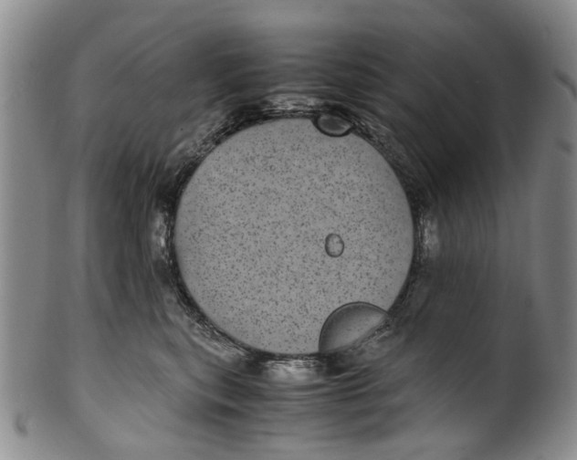 X0000100420567200806271509