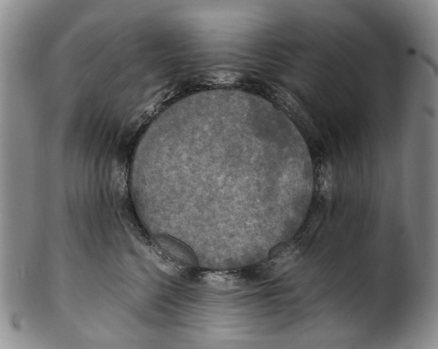 X0000100420568200806271509