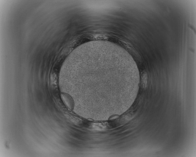 X0000100420571200806271509