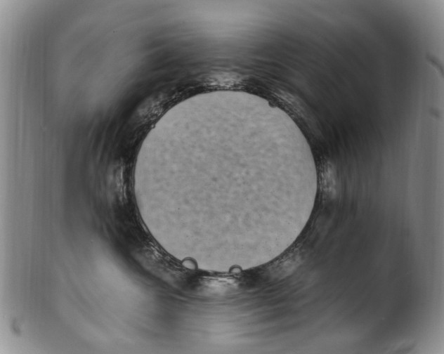 X0000100420572200806271509