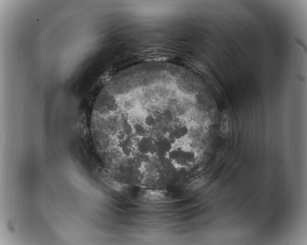 X0000100420573200806271509