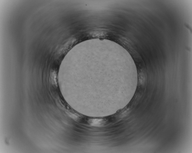 X0000100420575200806271510