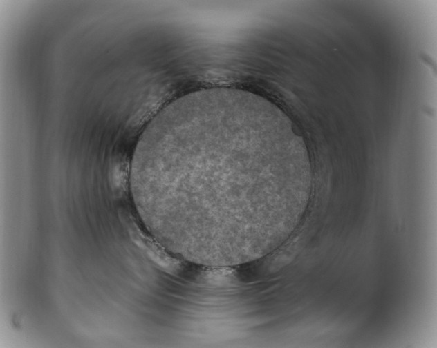 X0000100420576200806271510