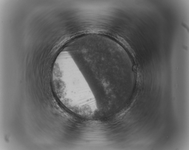 X0000100420577200806271509