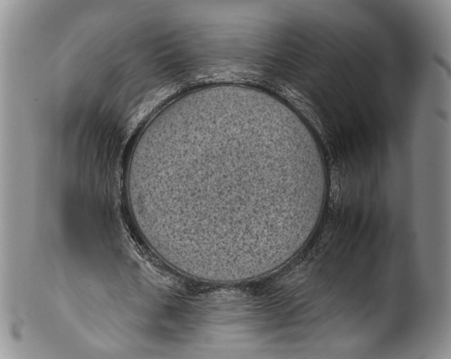 X0000100420578200806271509