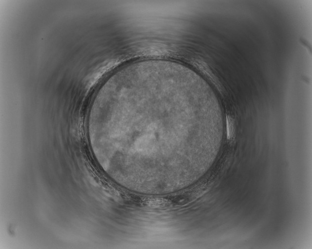 X0000100420579200806271509