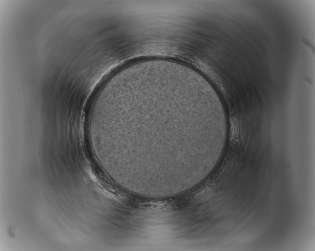 X0000100420580200806271509