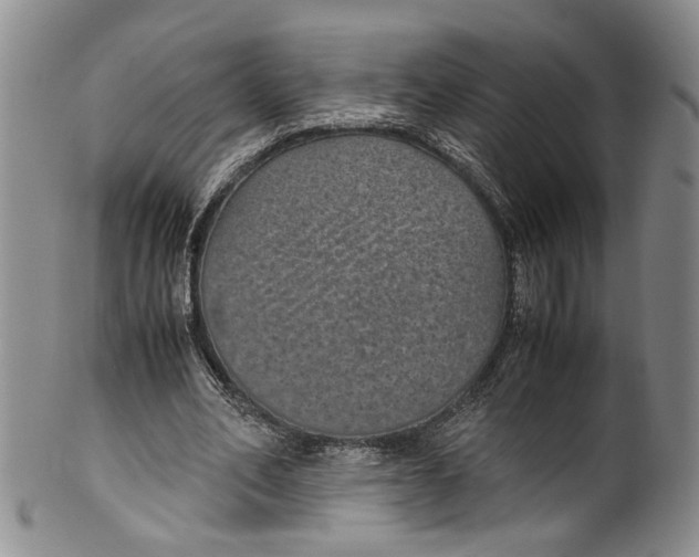 X0000100420582200806271509