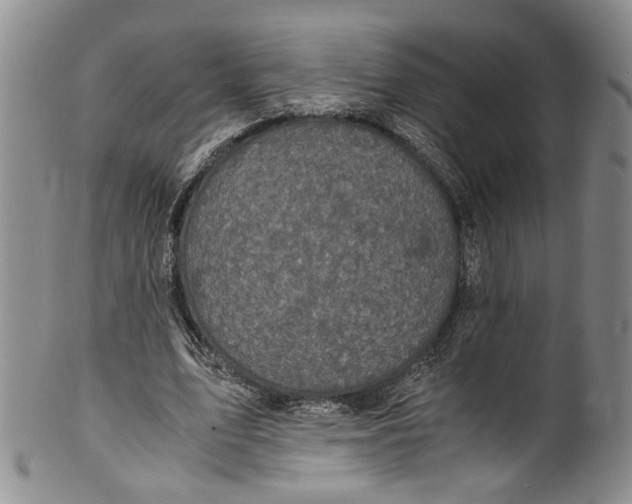 X0000100420583200806271509