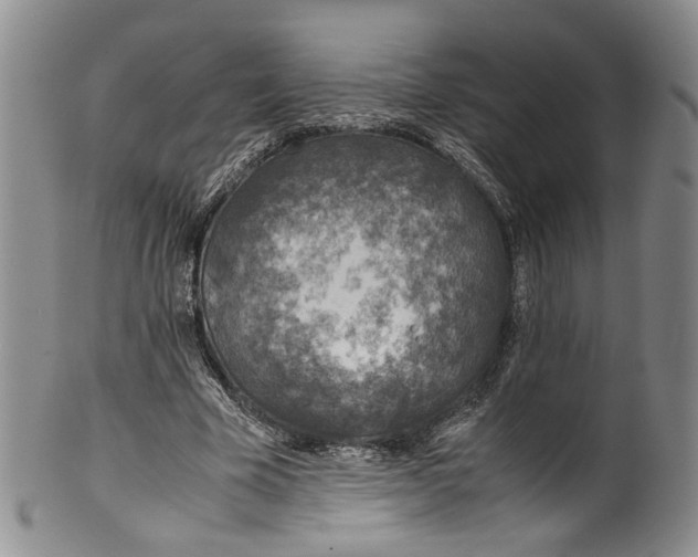 X0000100420585200806271509