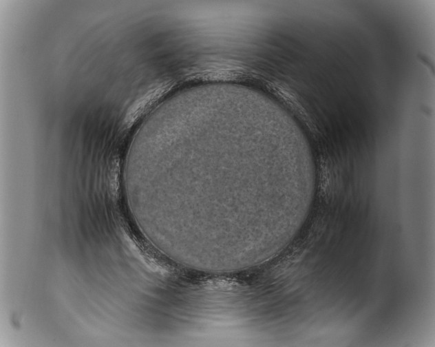 X0000100420586200806271509