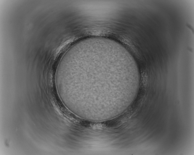 X0000100420587200806271509