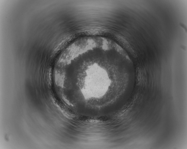 X0000100420590200806271509