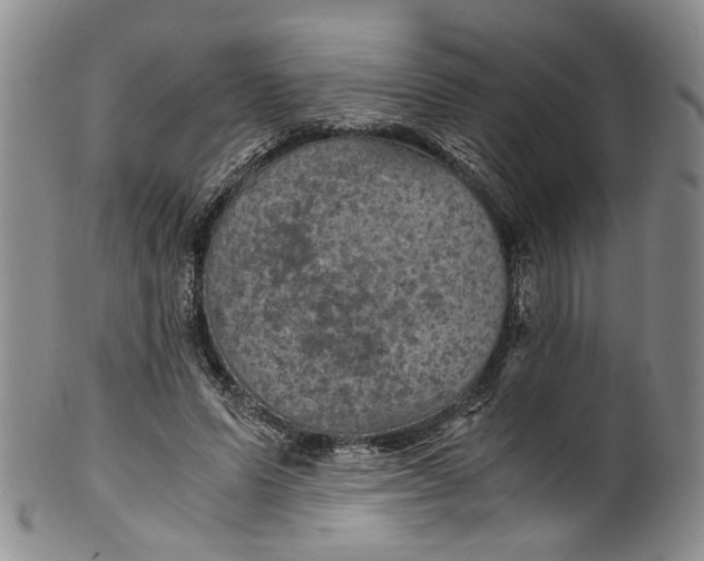 X0000100420591200806271509