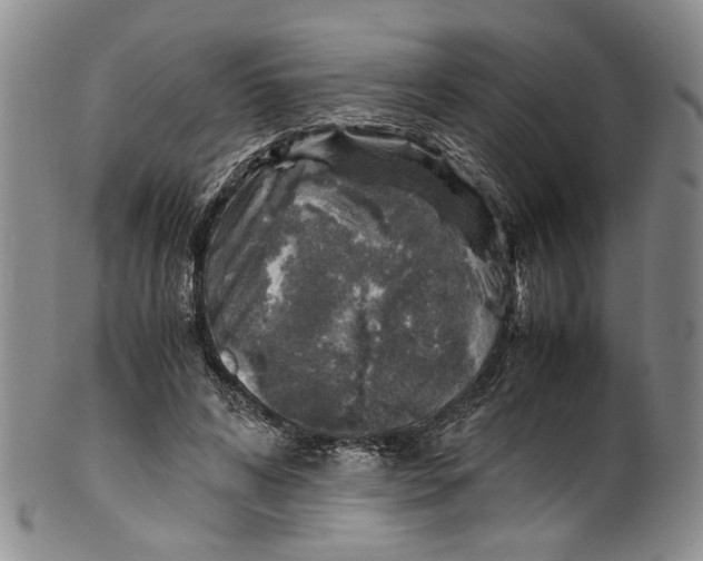 X0000100420592200806271509