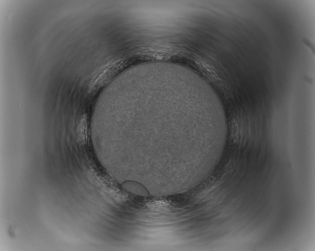 X0000100420594200806271509