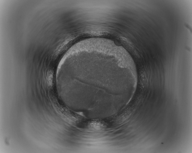 X0000100420596200806271509