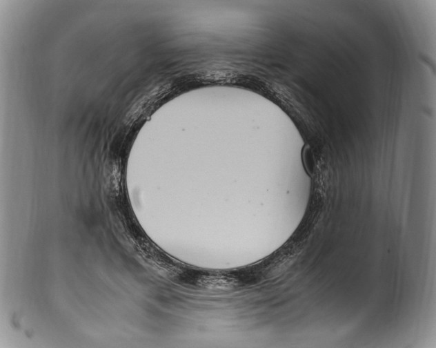 X0000100420597200806271509