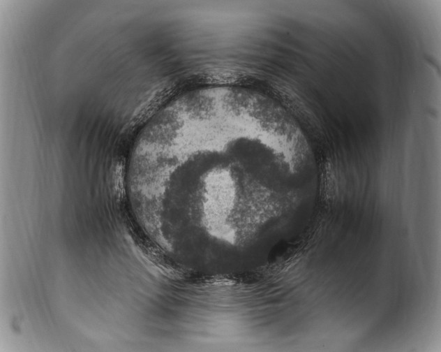 X0000100420598200806271509