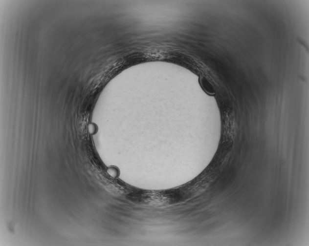 X0000100420601200806271509