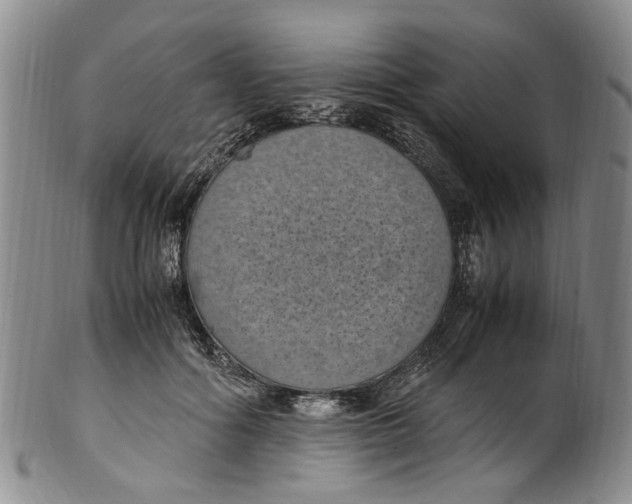 X0000100420602200806271508