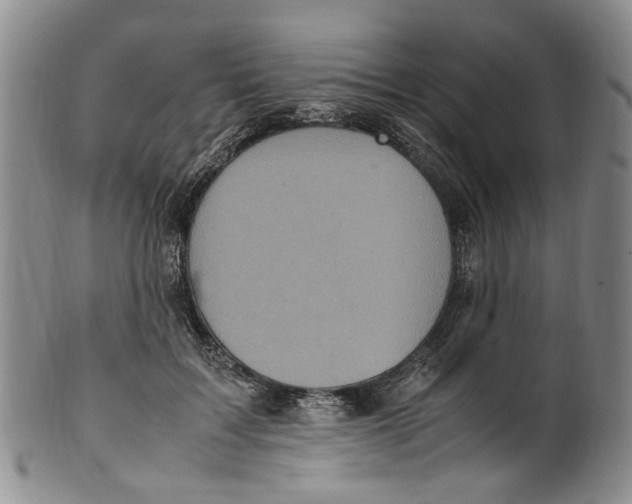 X0000100420603200806271508