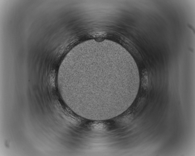 X0000100420604200806271508