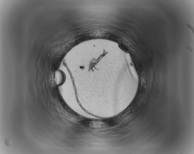 X0000100420605200806271508