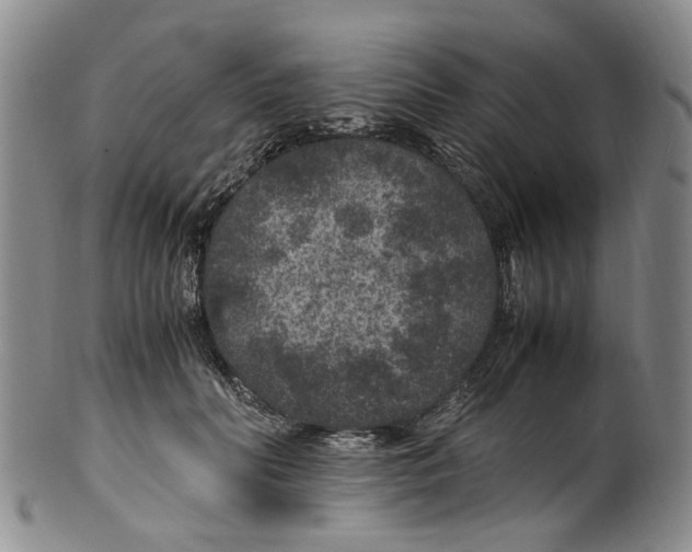 X0000100420606200806271508