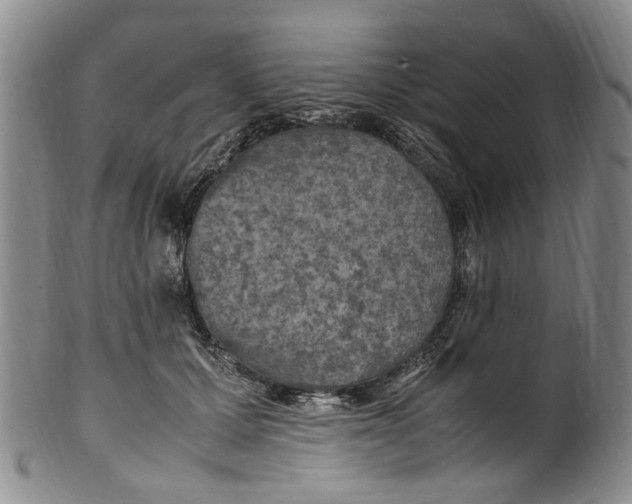 X0000100420607200806271508