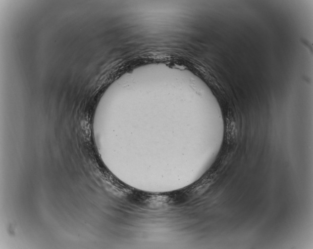 X0000100420609200806271508