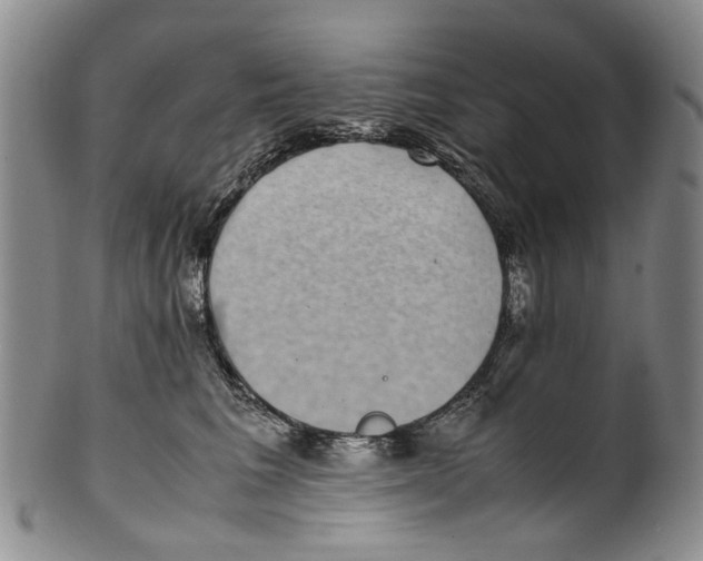 X0000100420613200806271508