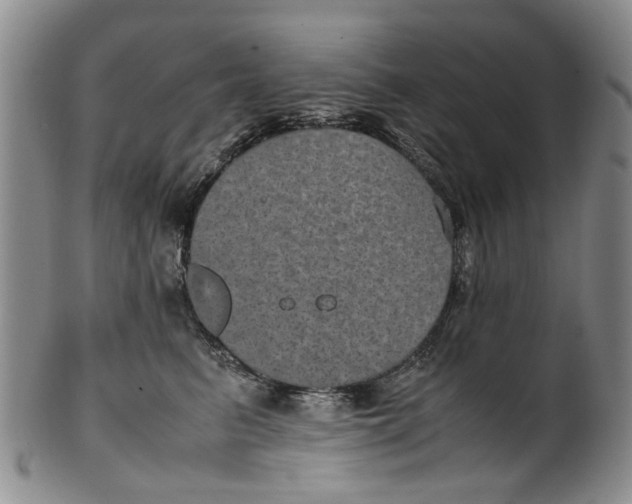 X0000100420615200806271508