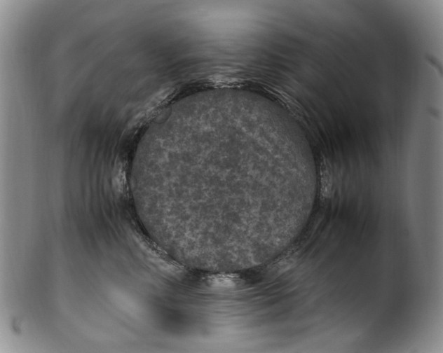 X0000100420618200806271508