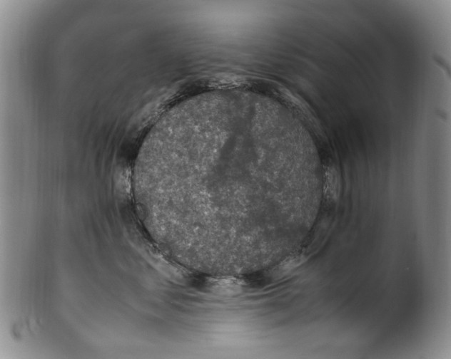 X0000100420621200806271508