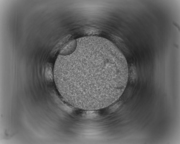 X0000100420622200806271508