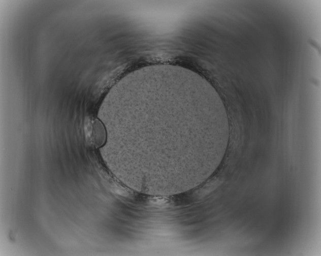 X0000100420624200806271508