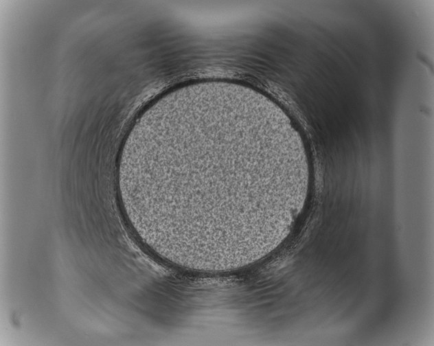 X0000100420625200806271507