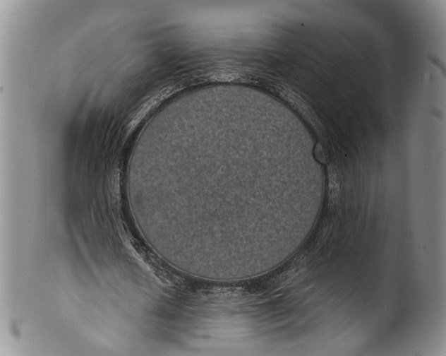 X0000100420626200806271507