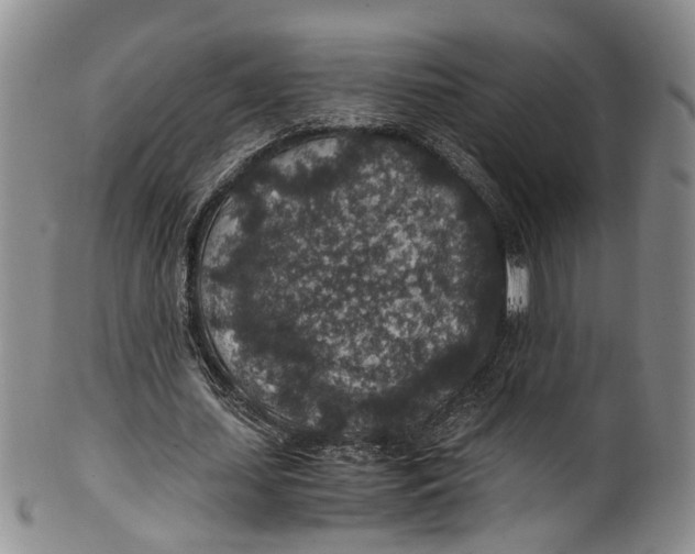 X0000100420627200806271507