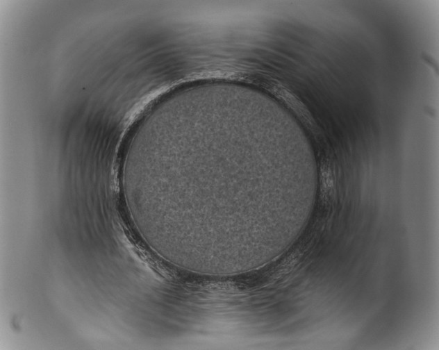 X0000100420628200806271507