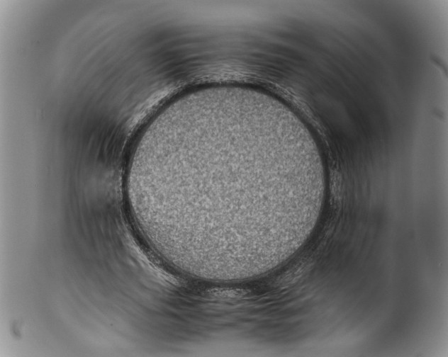 X0000100420629200806271507