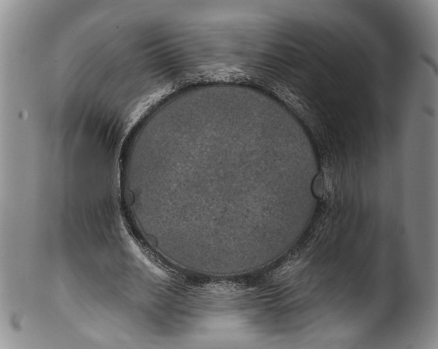 X0000100420630200806271507