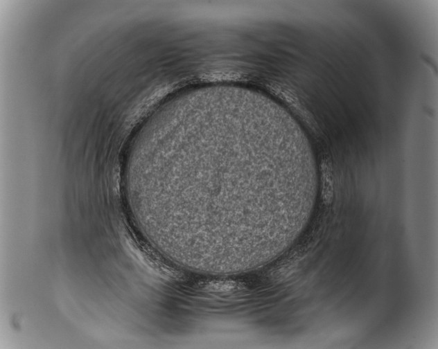 X0000100420631200806271507