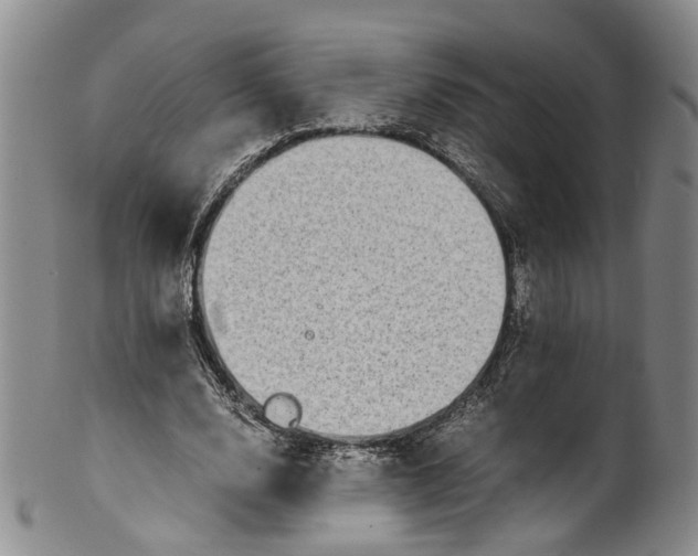 X0000100420632200806271507