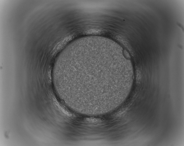 X0000100420633200806271507