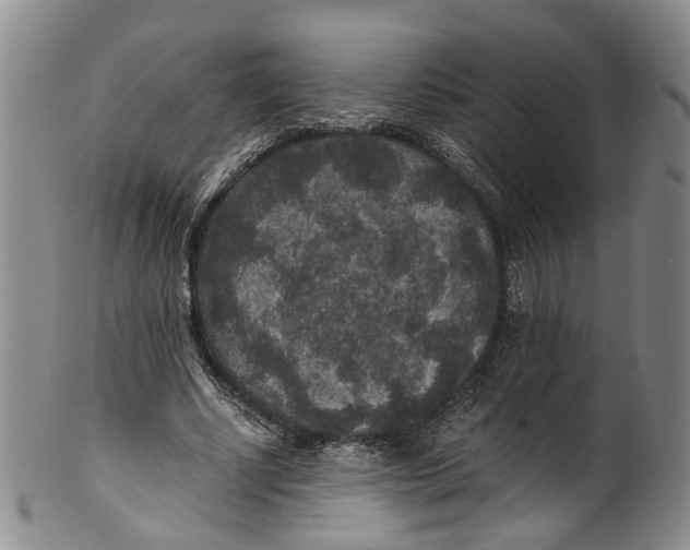 X0000100420634200806271507